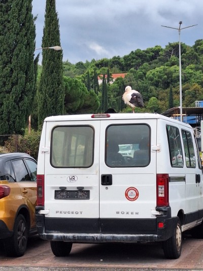 WhatsApp Image 2025-11-07 at 15.42.59.jpeg